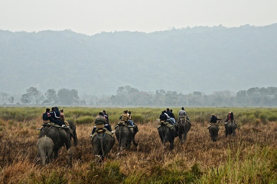 Bandhavgarh National Park elephant Safari